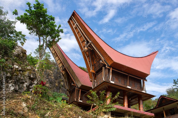 Rumah khas toraja