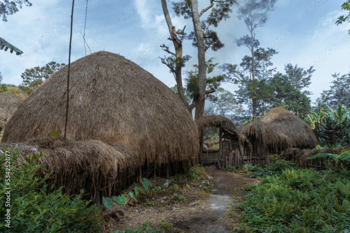 TERMURAH Jual Rumah Kayu Berkualitas Di Jayawijaya