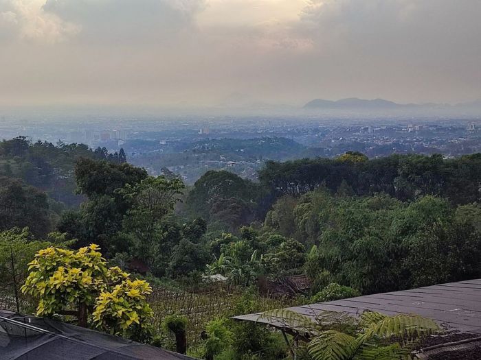 Rumah kayu bandung