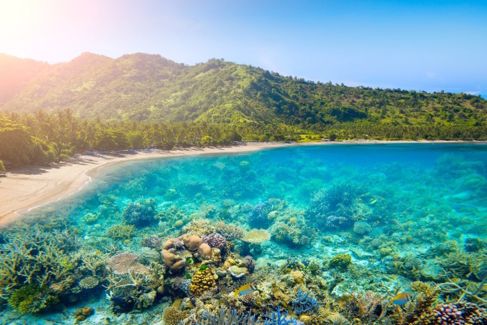 TERMURAH Jual Rumah Kayu Minimalis Berkualitas Di Lombok Barat