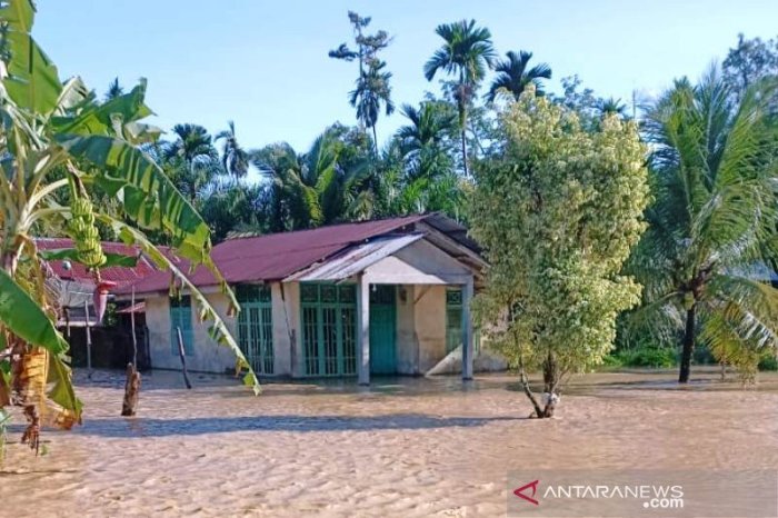 TERMURAH Jual Rumah Kayu Knock Down Berkualitas Di Nagan Raya