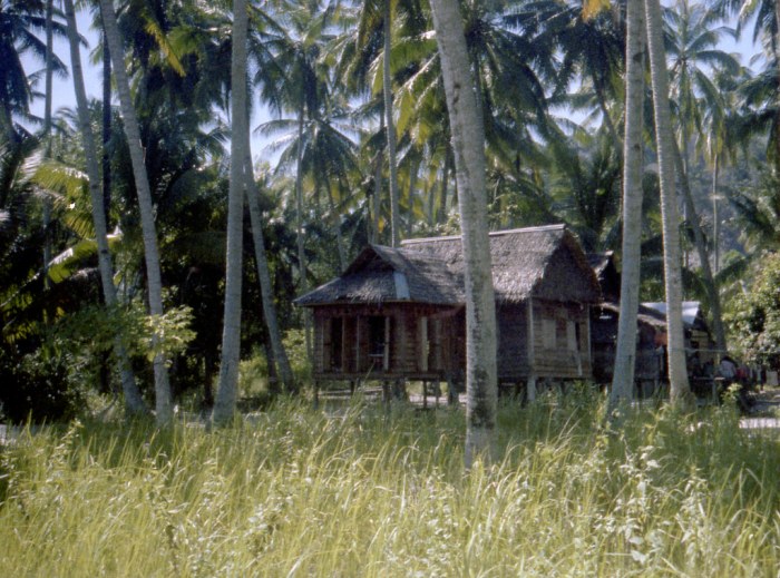 TERMURAH Jual Rumah Kayu Knock Down Berkualitas Di Lombok Utara