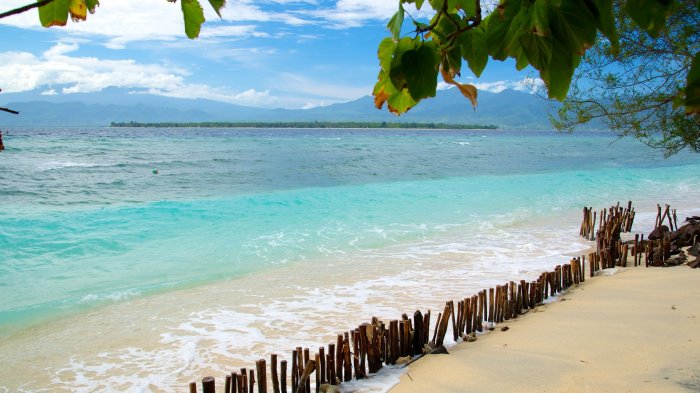 TERMURAH Jual Rumah Kayu Jati Berkualitas Di Lombok Tengah