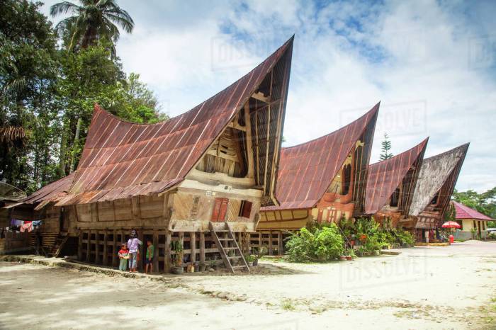 Rumah kayu medan