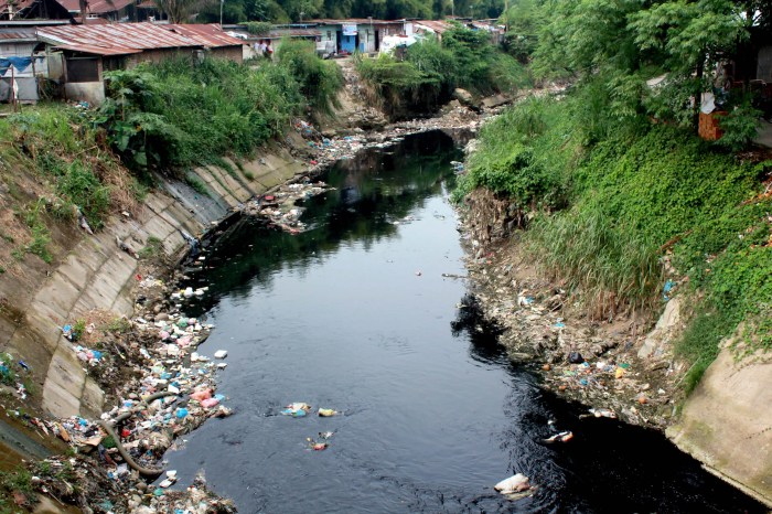 TERMURAH Jual Rumah Kayu Minimalis Berkualitas Di Sungai Penuh