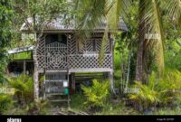 Rumah panjang iban sarawak sabah adat barat kalimantan tradisional kaum nama vernacular dayak long เล atap tradisi budayanesia bentuk senibina