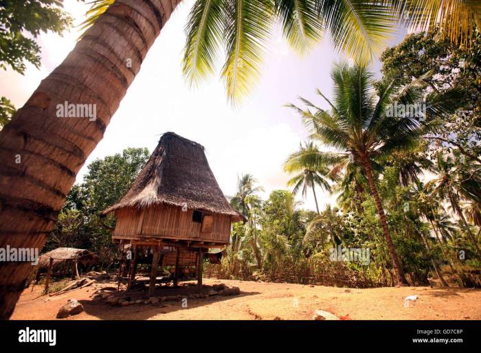 TERMURAH Jual Rumah Kayu Murah Berkualitas Di Timor Tengah Utara