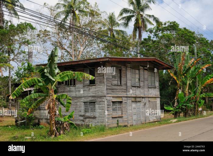 TERMURAH Jual Rumah Kayu Knock Down Berkualitas Di Tulang Bawang Barat