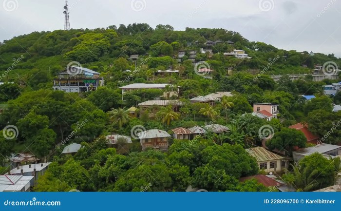 TERMURAH Jual Rumah Kayu Minimalis Berkualitas Di Manggarai Barat