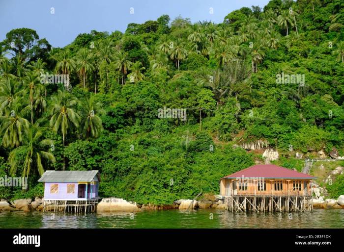 Nicobar andaman islands bamboo houses housing economy grove palm havelock option alamy island