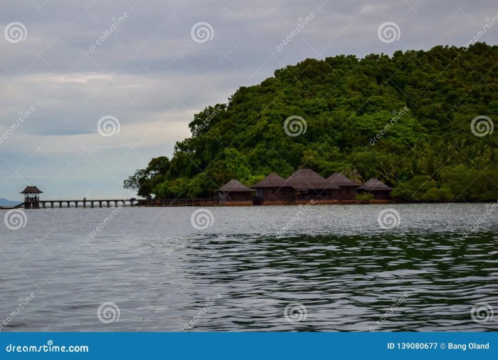 TERMURAH Jual Rumah Kayu Berkualitas Di Bandar Lampung