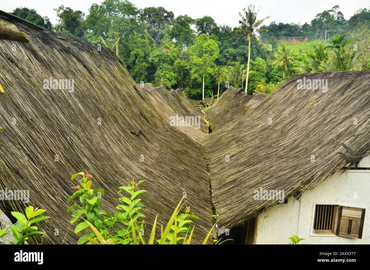 Harga Pembuatan Rumah Kayu Villa Kayu Termurah Di Tasikmalaya