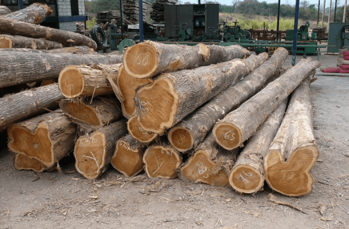 Kayu dari kalimantan