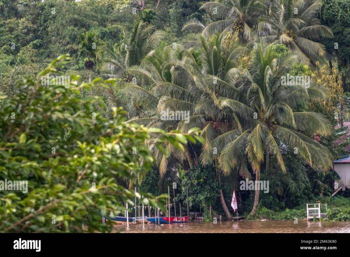 TERMURAH Jual Rumah Kayu Berkualitas Di Hulu Sungai Selatan