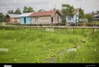 TERMURAH Jual Rumah Kayu Jati Berkualitas Di Palangka Raya