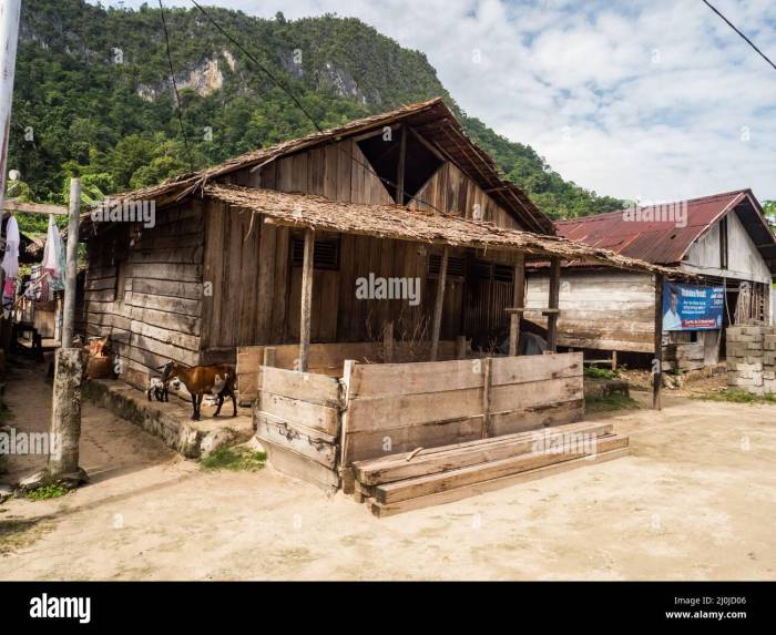 TERMURAH Jual Rumah Kayu Minimalis Berkualitas Di Maluku Tenggara