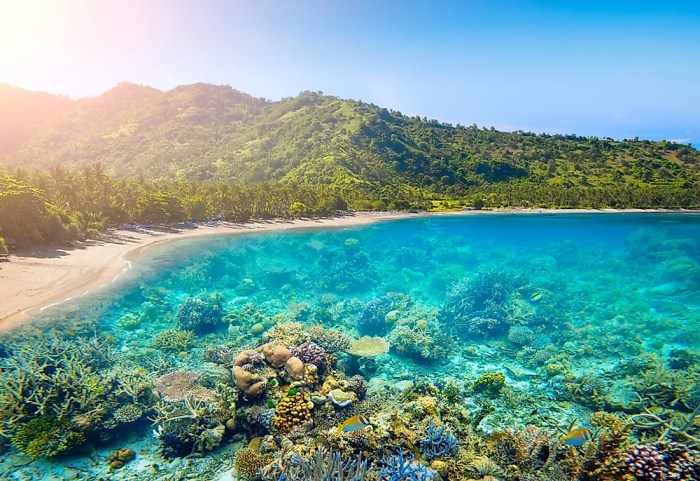 TERMURAH Jual Rumah Kayu Knock Down Berkualitas Di Lombok Barat