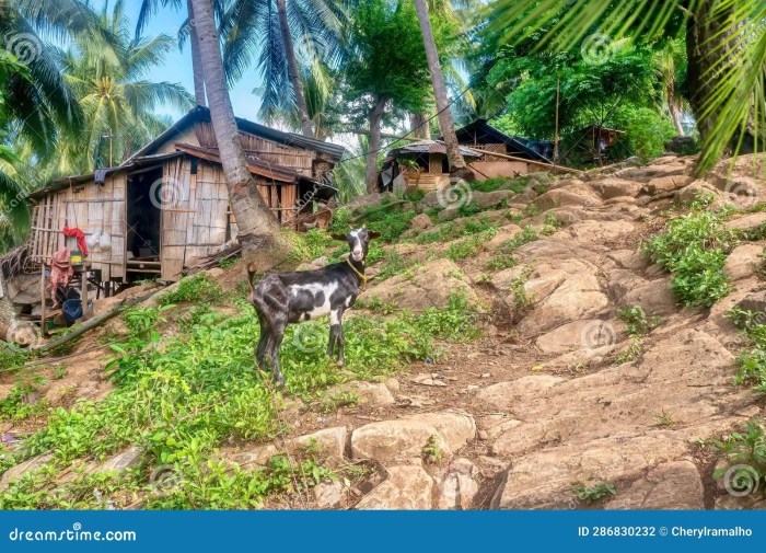 TERMURAH Jual Rumah Kayu Berkualitas Di Gayo Lues