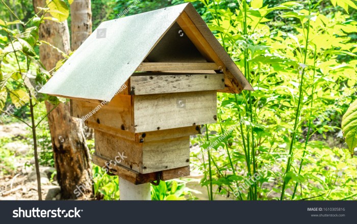 TERMURAH Jual Rumah Kayu Murah Berkualitas Di Purworejo