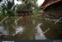 Rumah kayu limasan