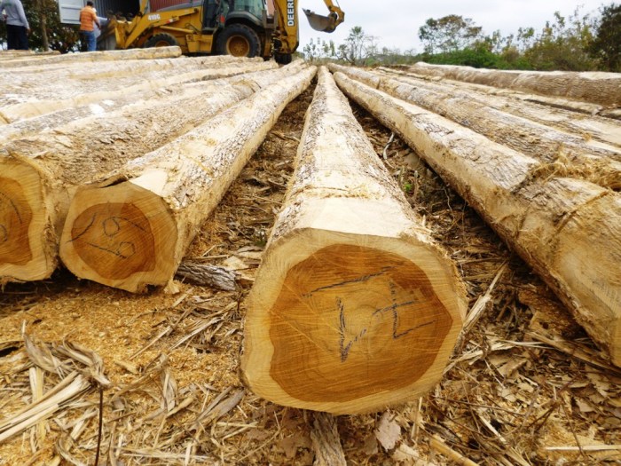 TERMURAH Jual Rumah Kayu Jati Berkualitas Di Singkawang