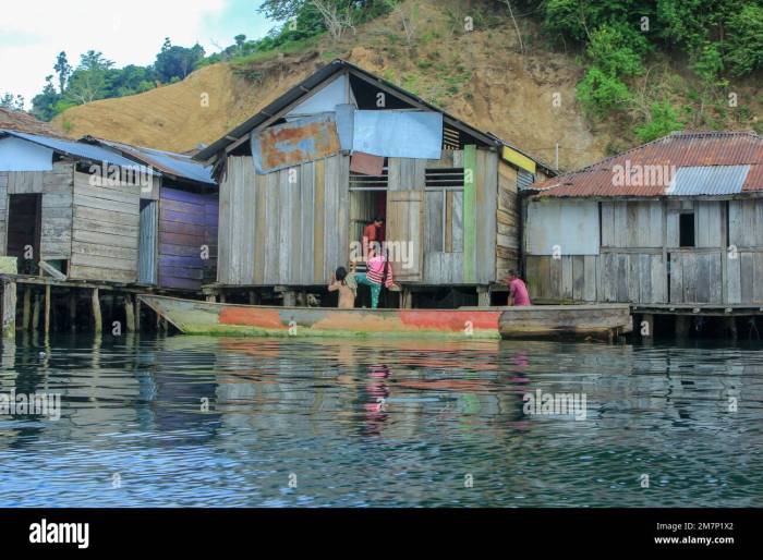 TERMURAH Jual Rumah Kayu Berkualitas Di Halmahera Utara