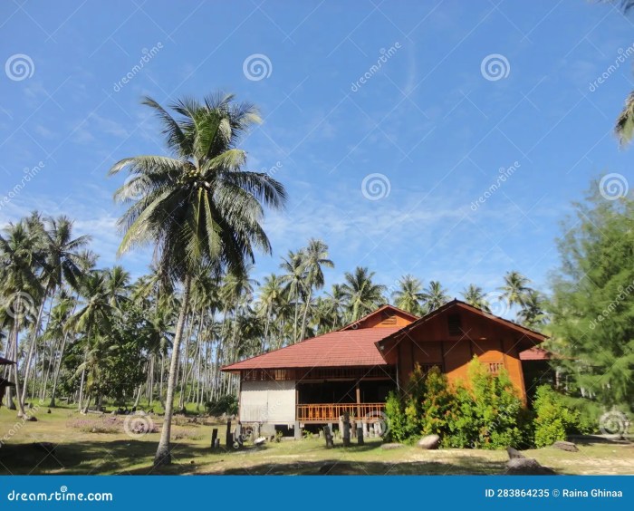 Kedah malay malaysia wooden kampung pendang