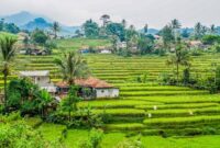 TERMURAH Jual Rumah Kayu Minimalis Berkualitas Di Cianjur