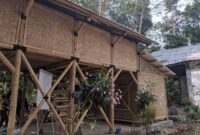 Model rumah kayu minimalis tahan gempa dan rayap